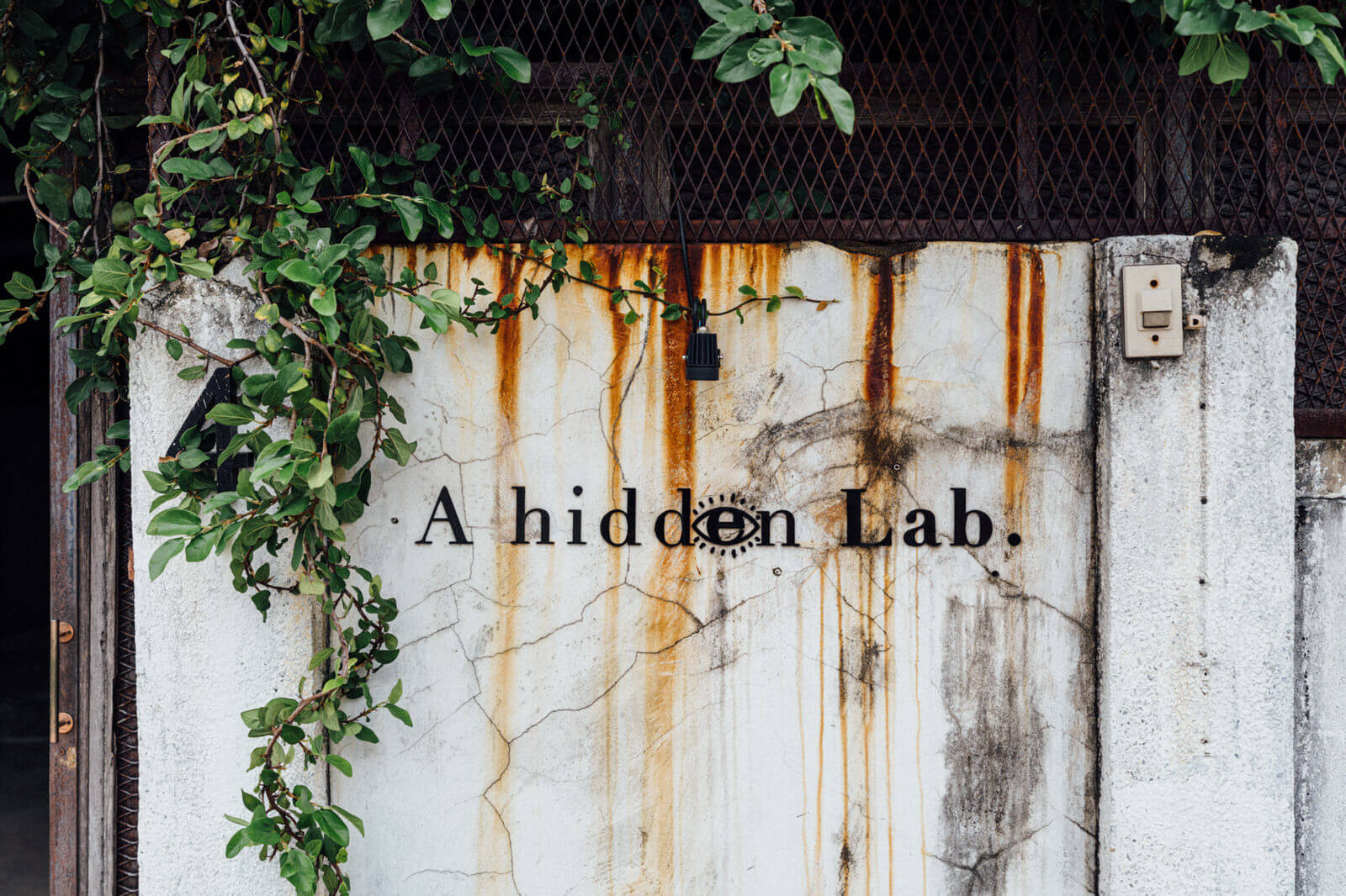 A Hidden Lab
