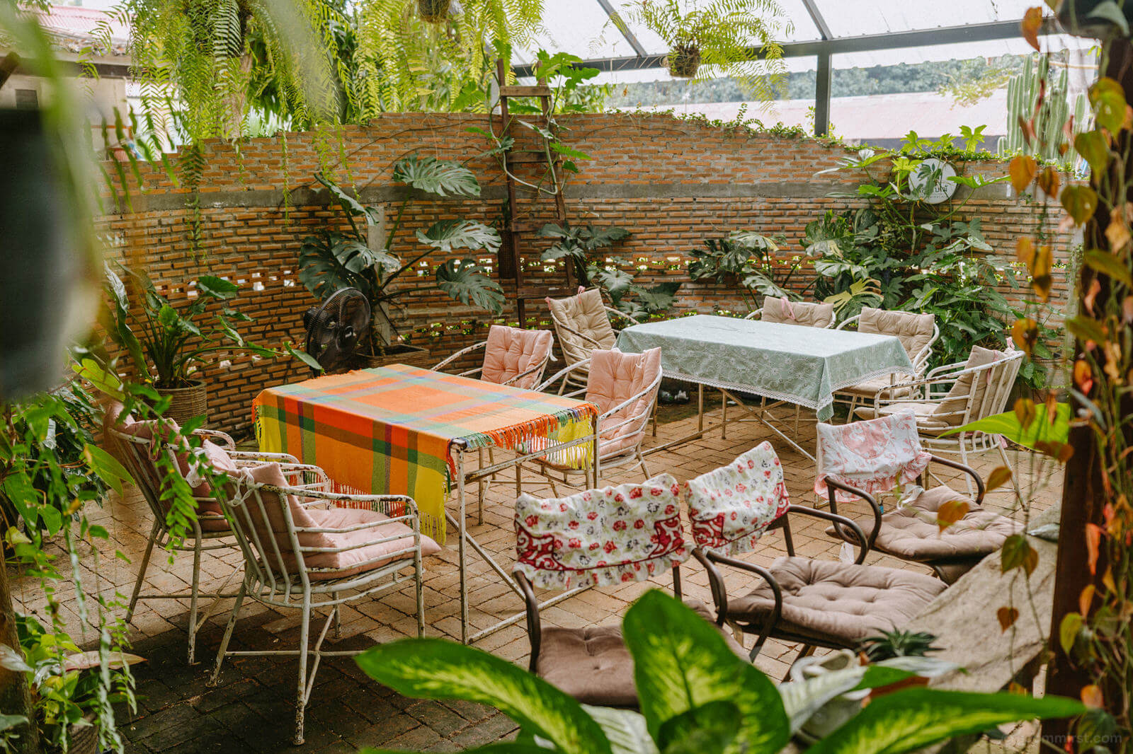 the tropical eco cafe