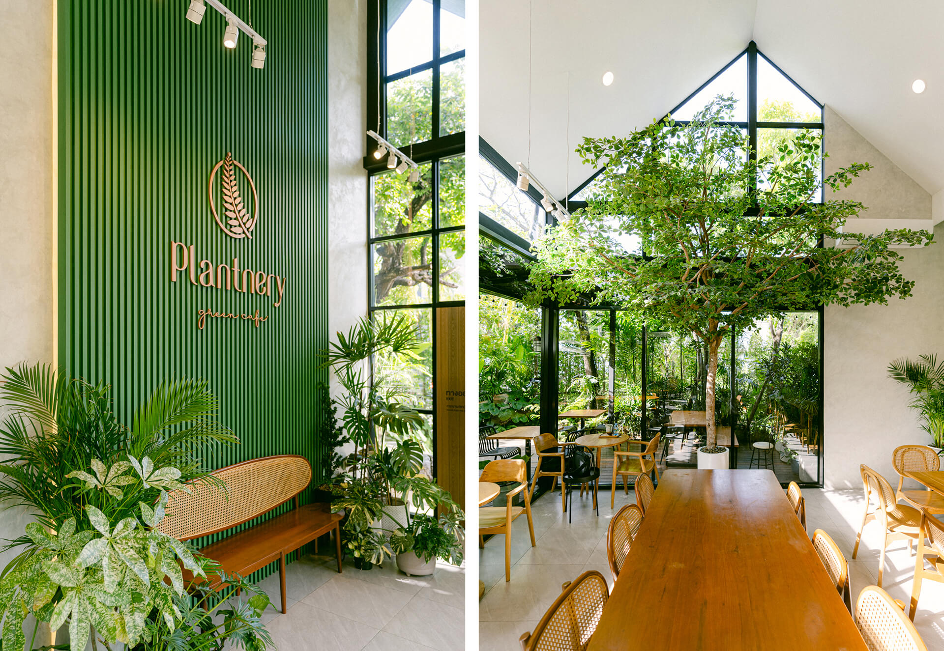 plantnery green café